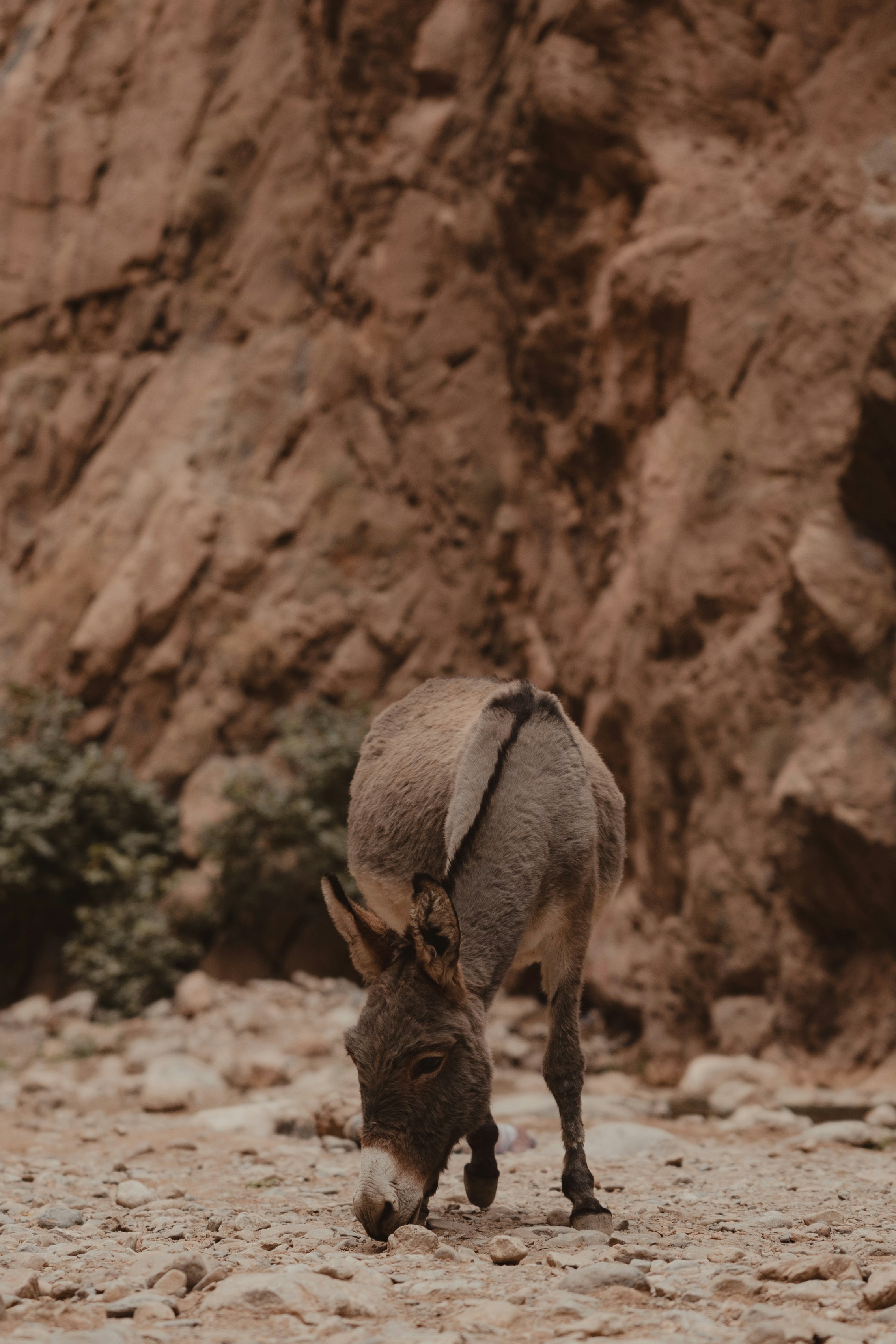 Photo by faruktokluoglu