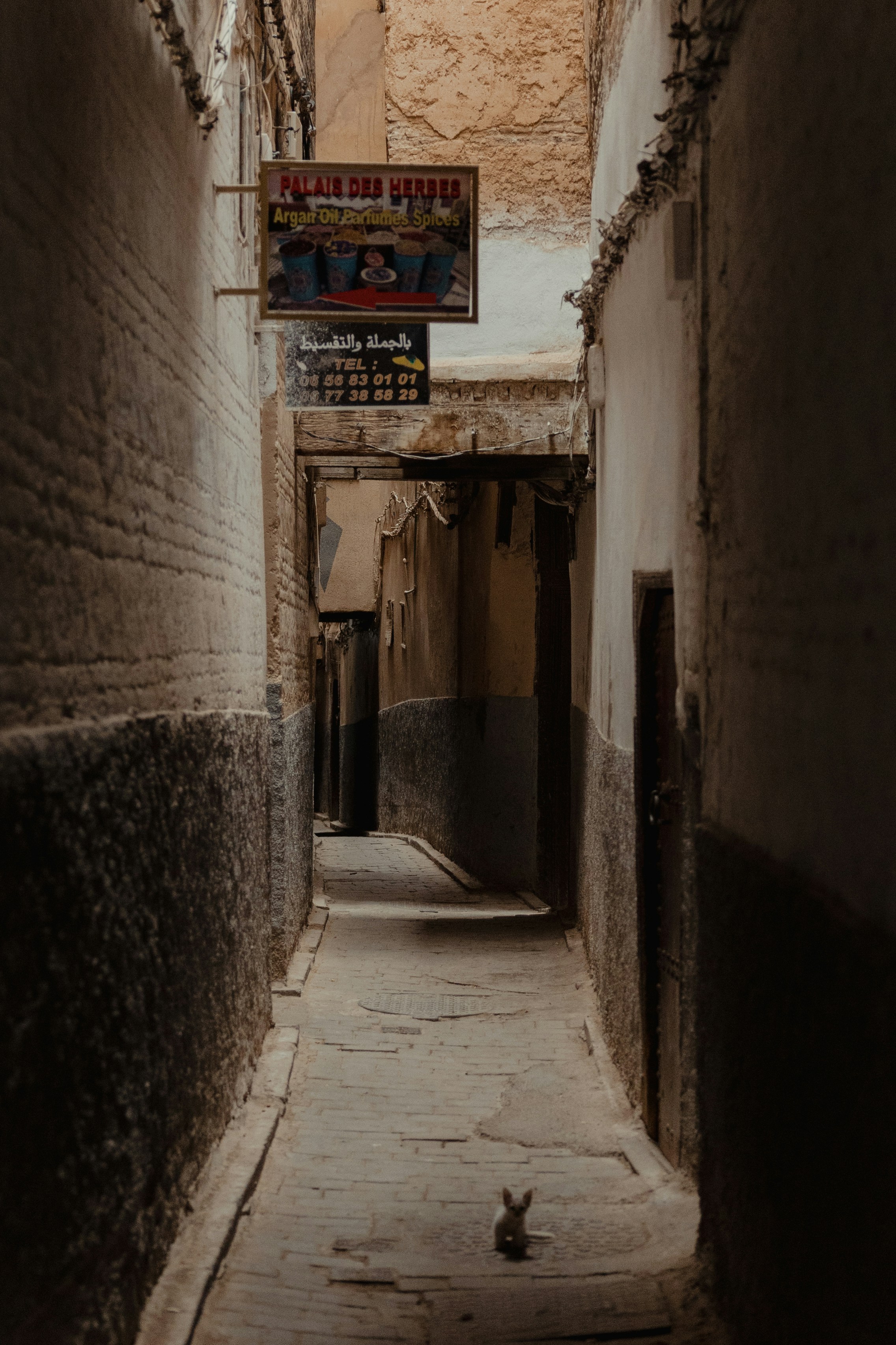 Photo by faruktokluoglu