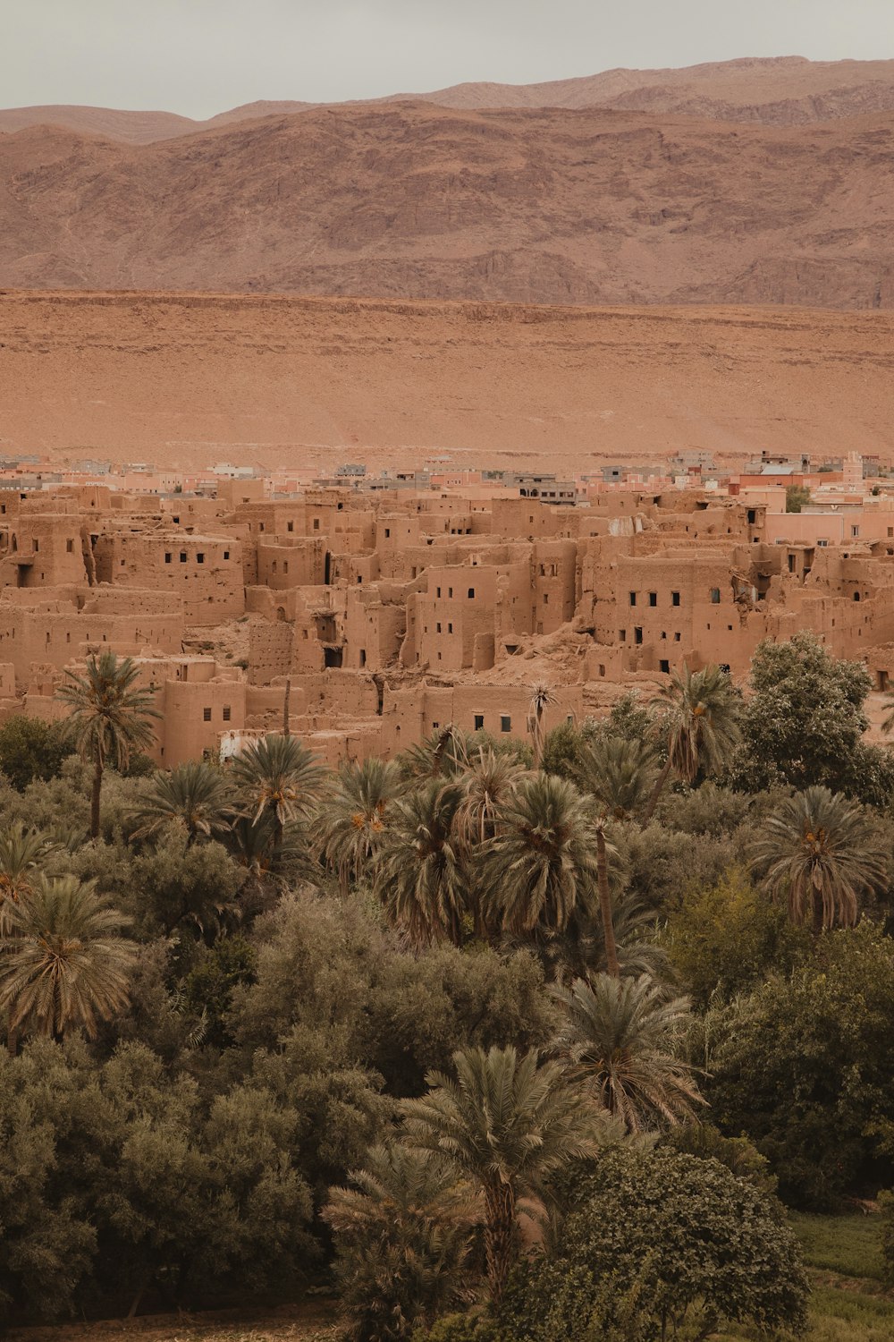 a large building with trees in front of it