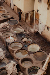 Natural dye vats surrounded by fresh plant materials used in sustainable textile coloring.