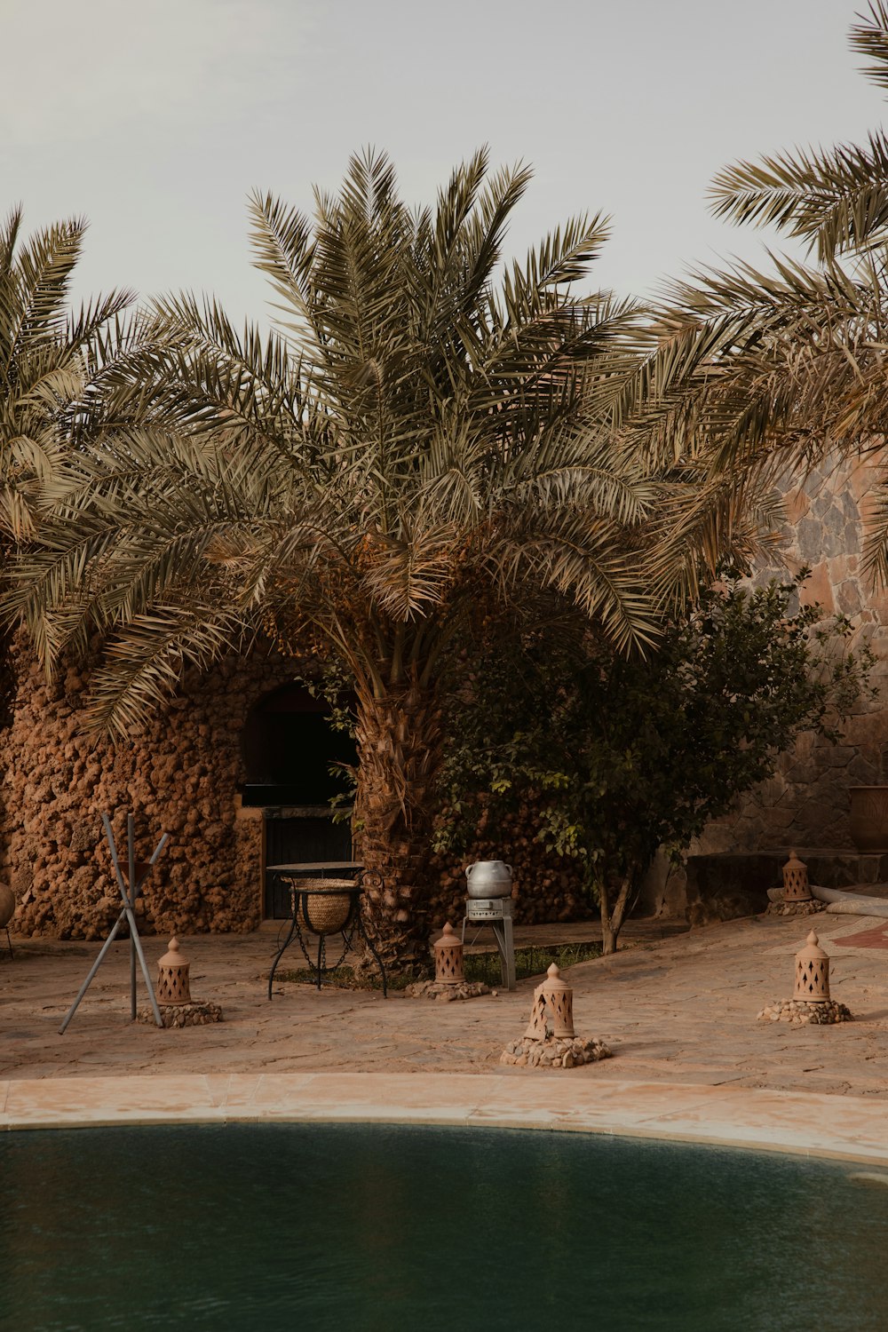 a pool with a hut and palm trees