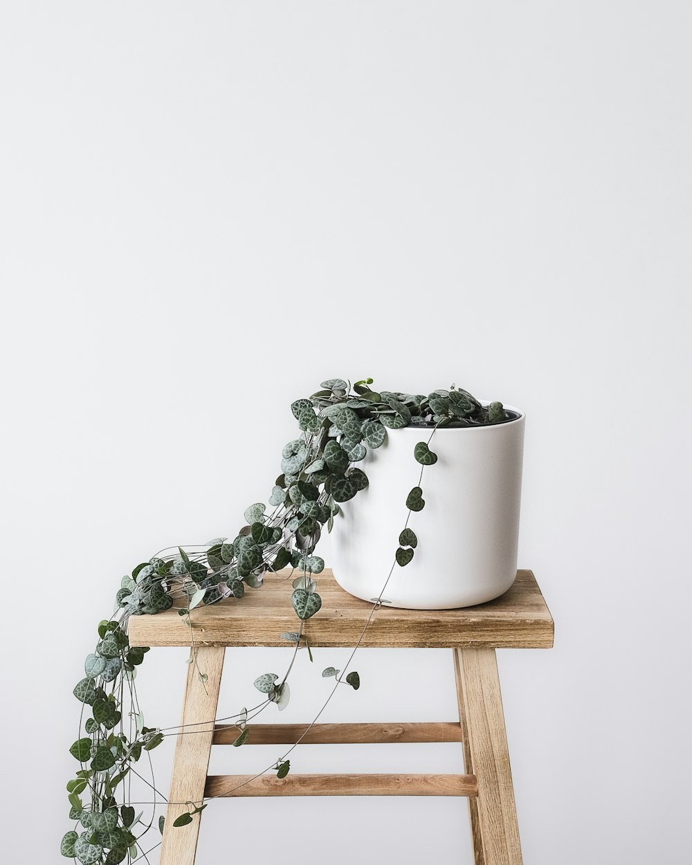 a planter with a potted plant on it