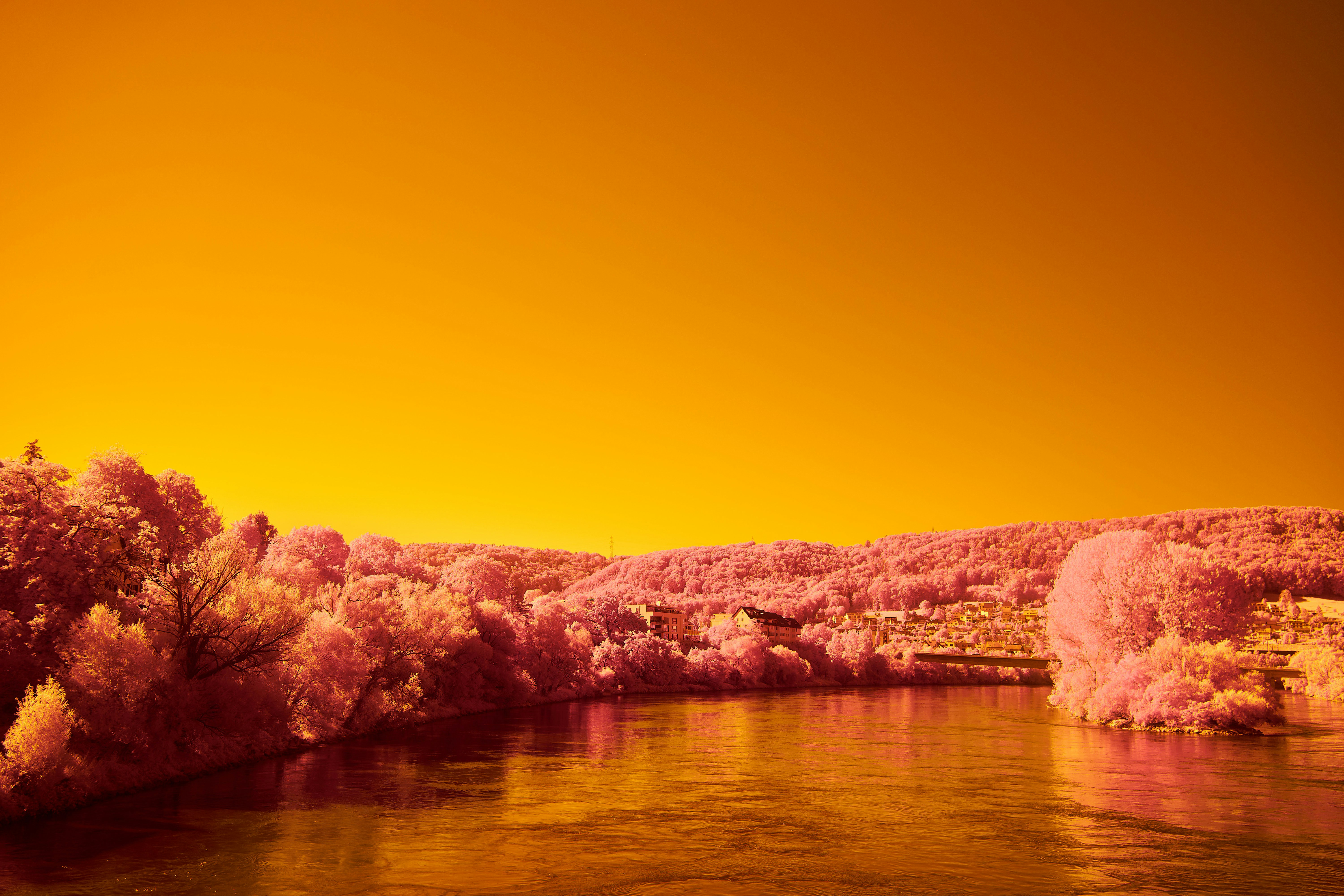 Photo by wolfgang_hasselmann