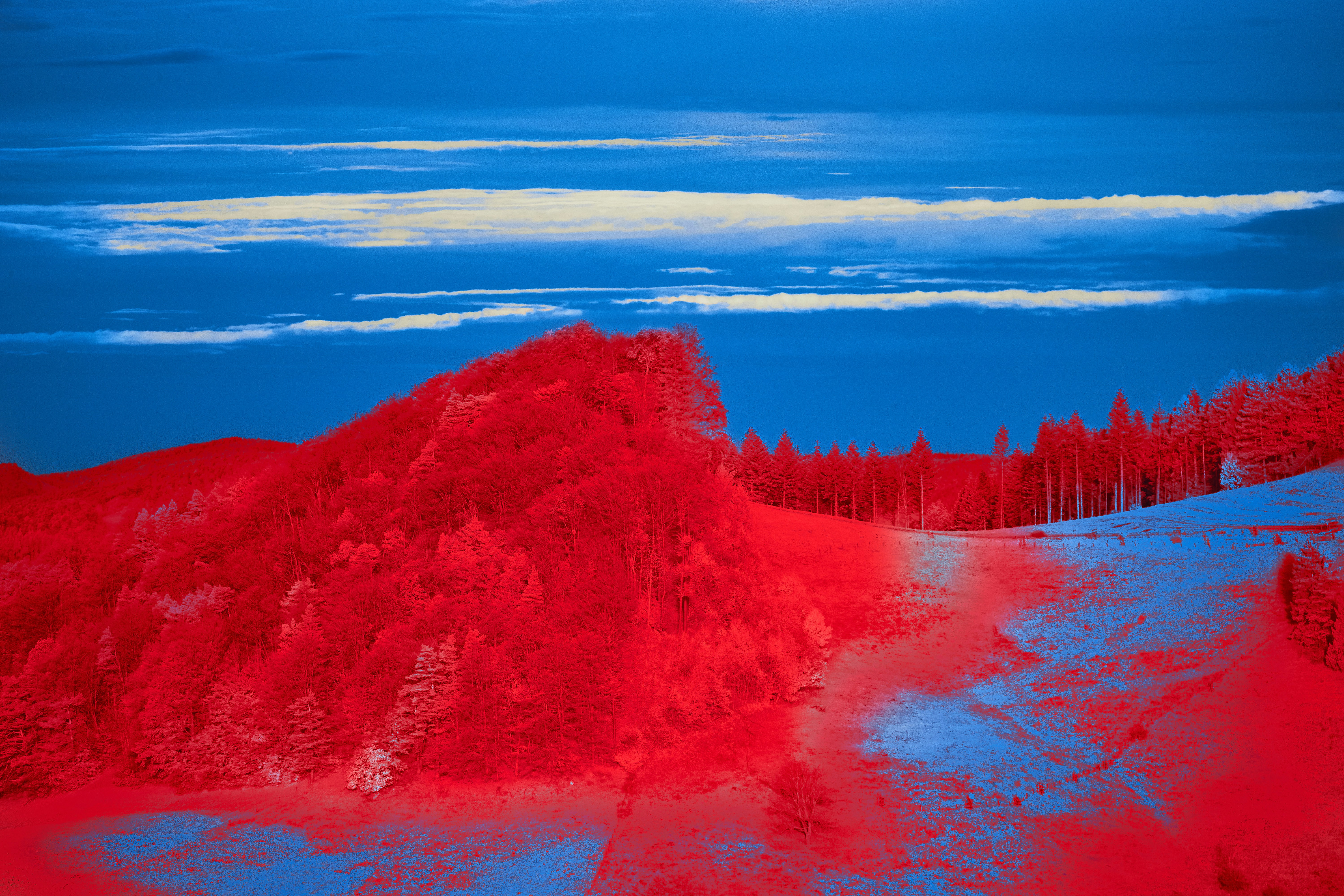 Photo by wolfgang_hasselmann