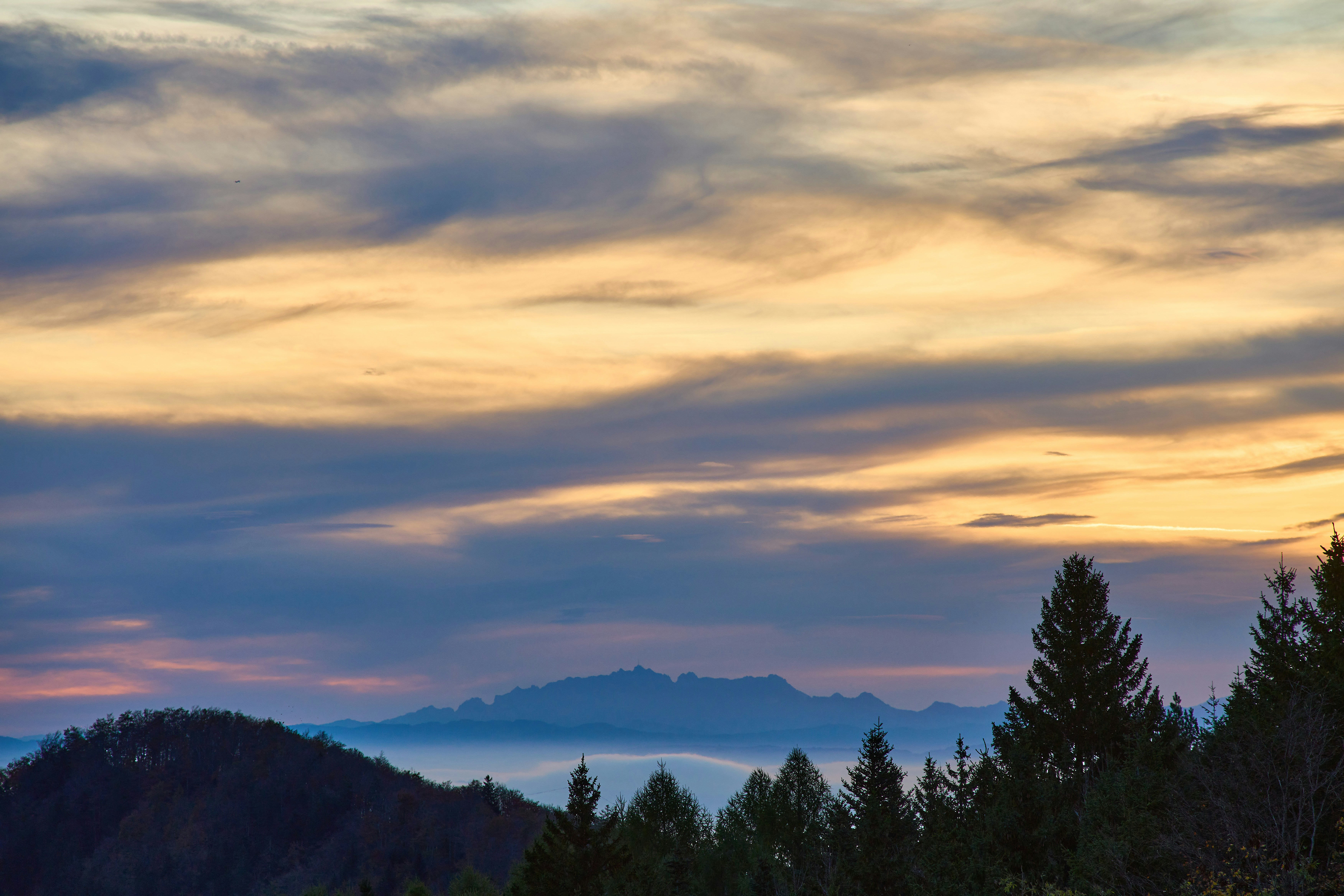 Photo by wolfgang_hasselmann