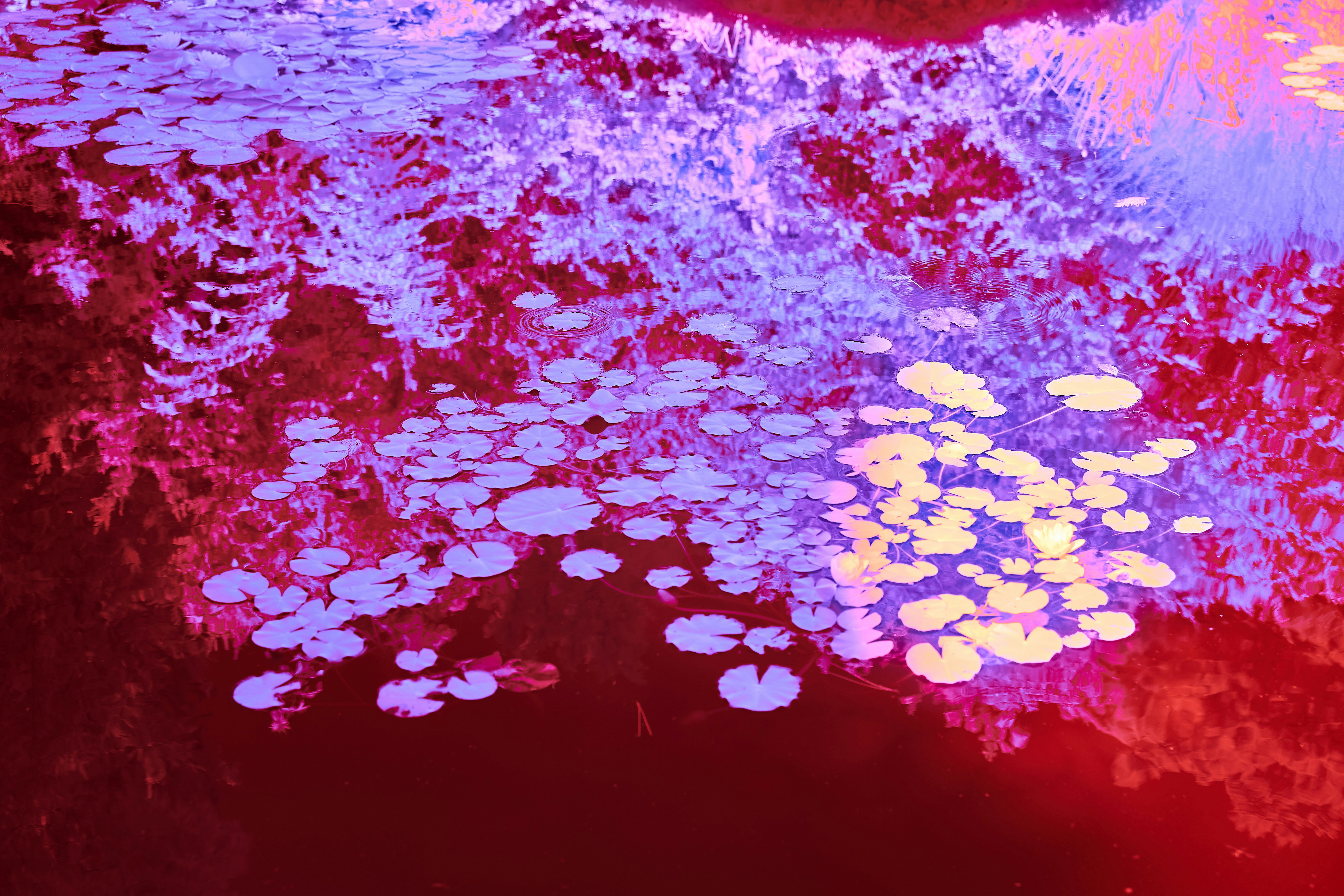 Photo by wolfgang_hasselmann