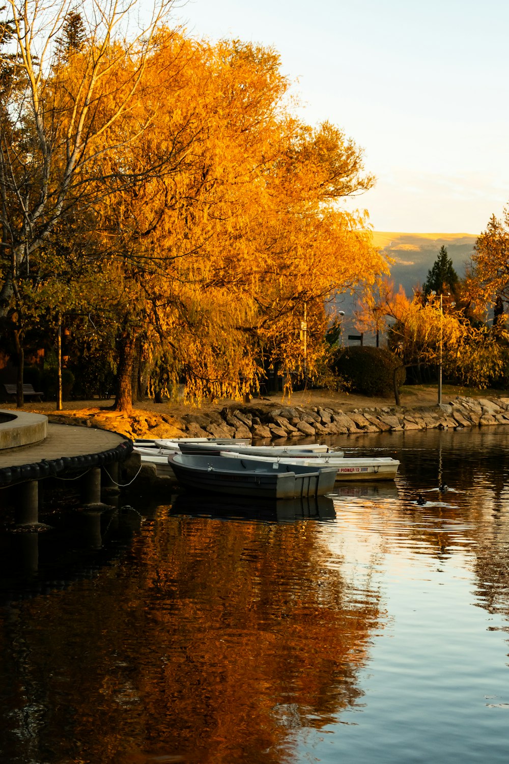 a boat sits on the water