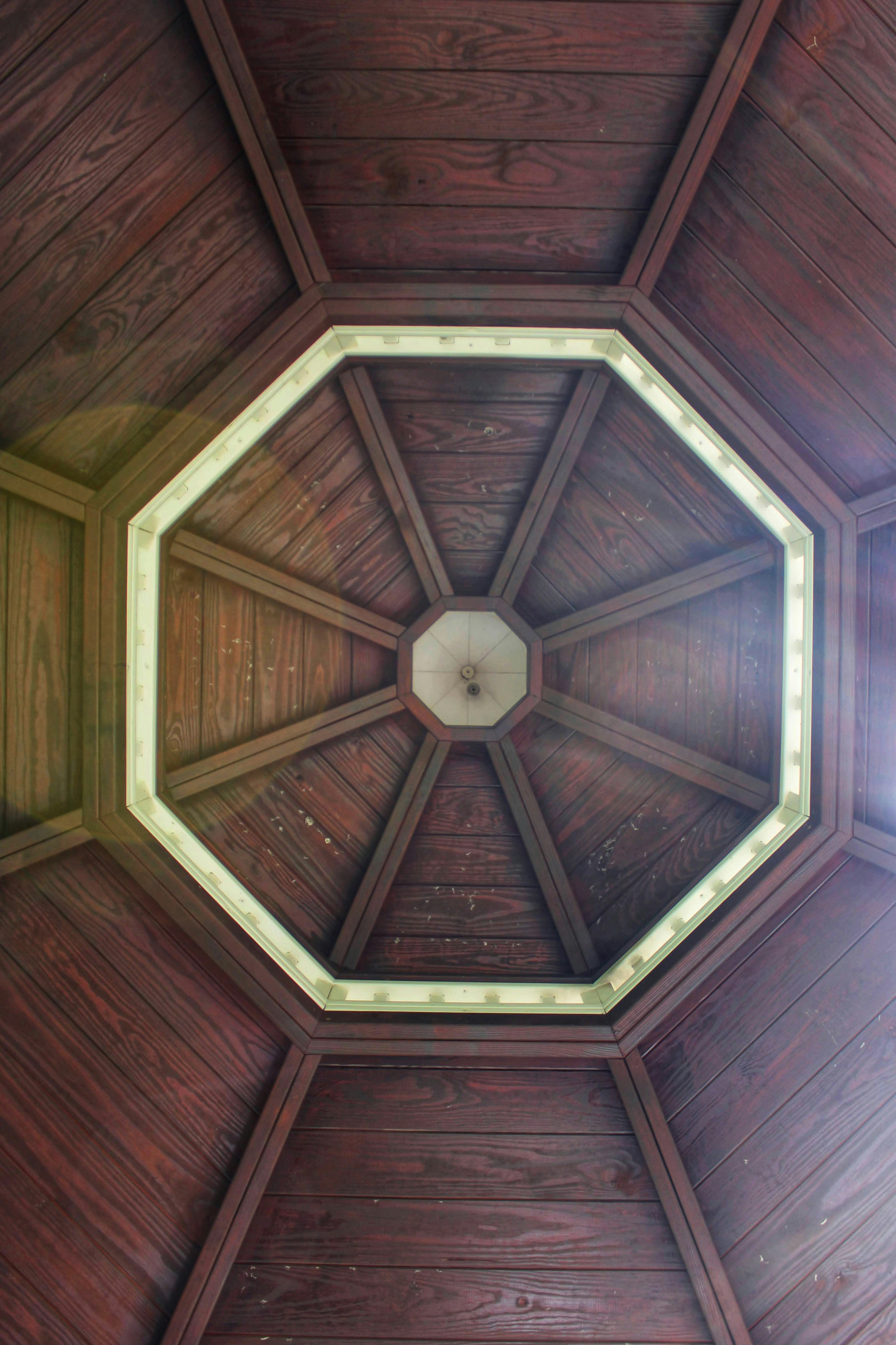 Photo by hocuspocusphotography