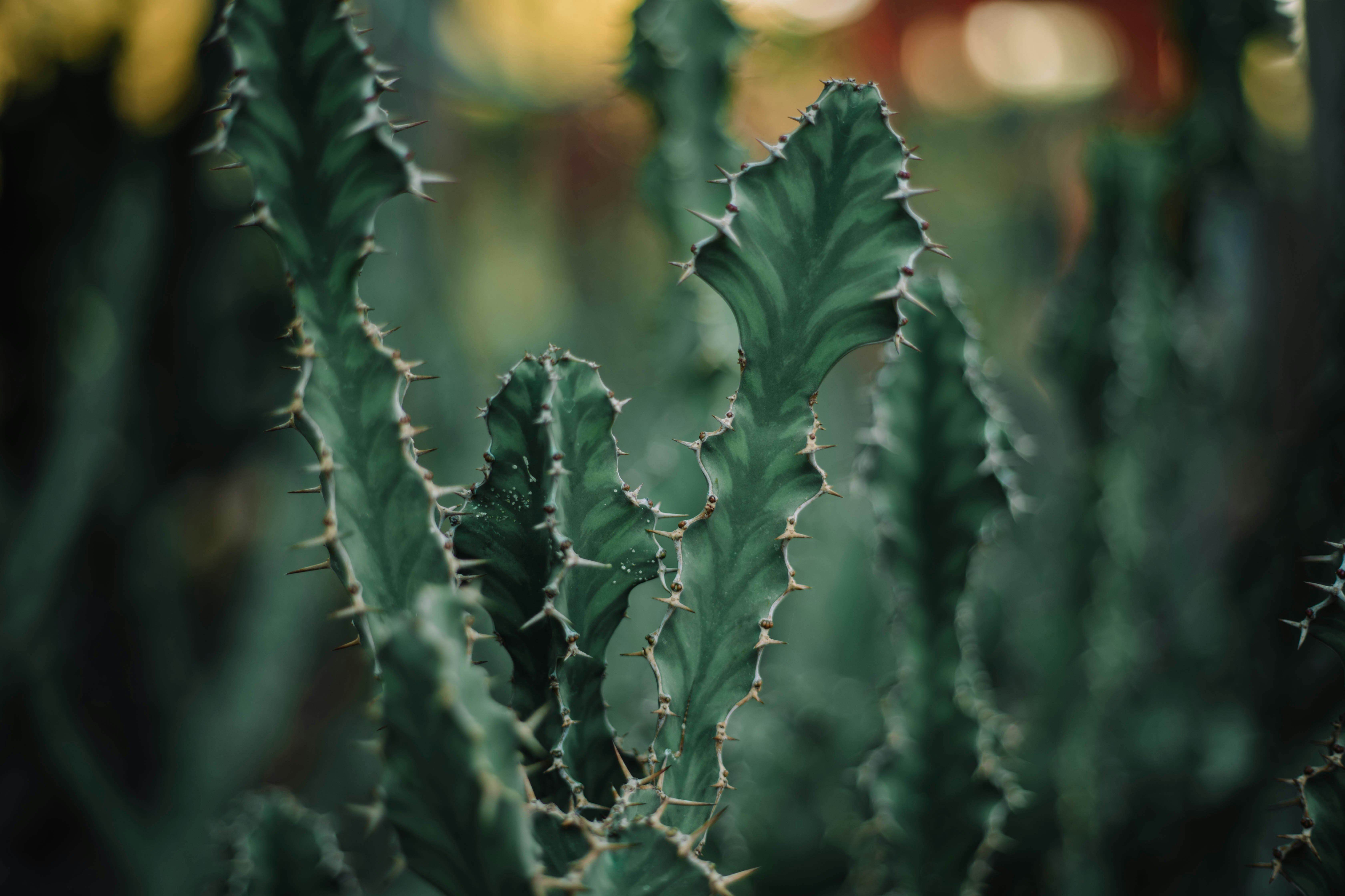 Photo by emilydillstrock