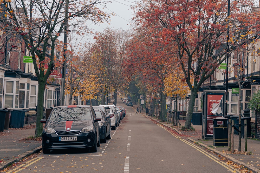 a row of parked cars