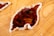 A wooden surface features an abstract design with a glossy, brown, leaf-shaped inlay bordered by a creamy white edge. The wood grain is visible and textured, adding a natural and artistic element to the composition.