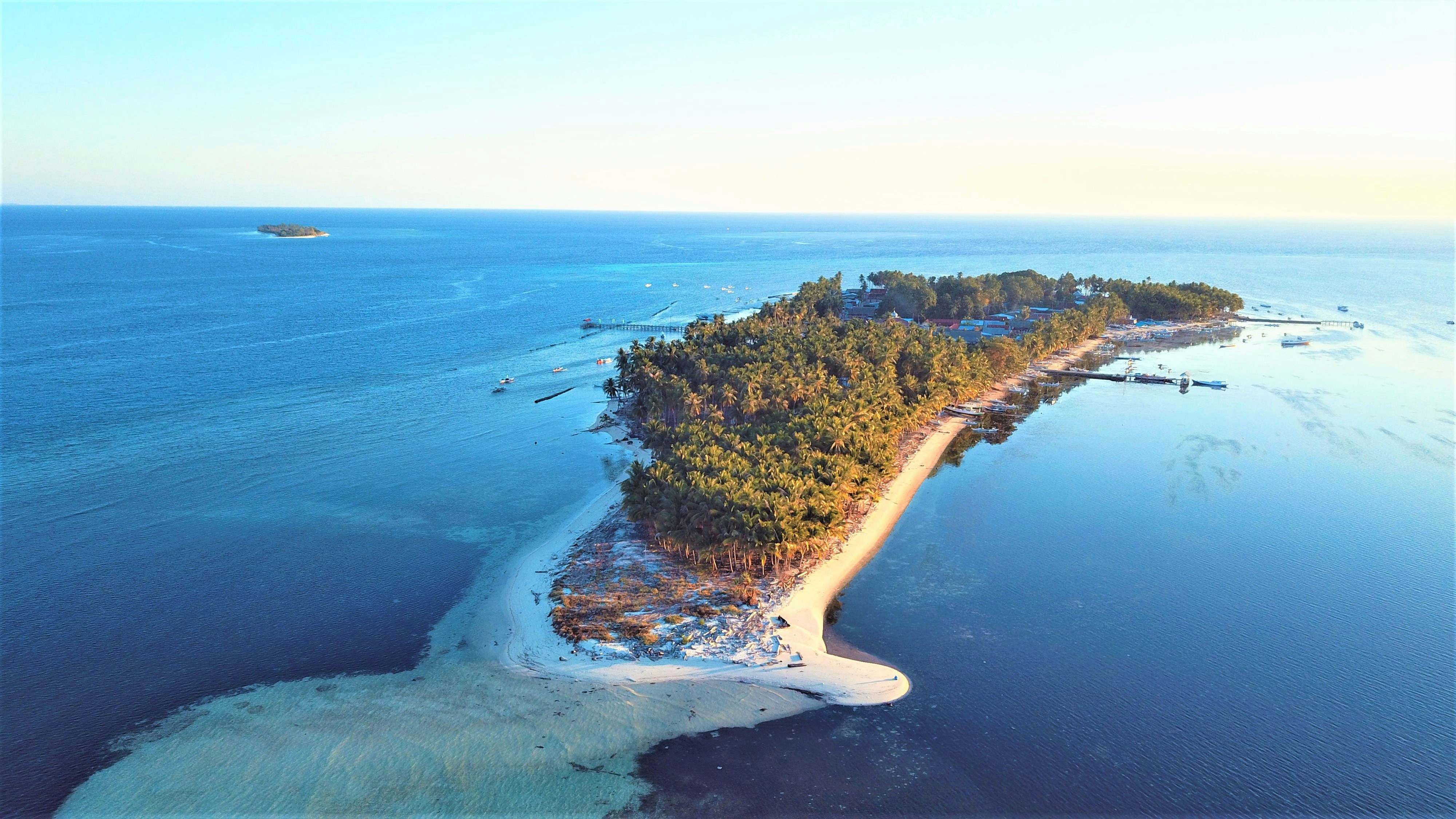 Time Cut app on a phone being used to slow down a skateboard trick