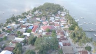 An aerial view of a traditional Sri Lankan village near the coast.