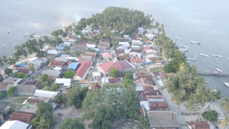 An aerial view of a traditional Sri Lankan village near the coast.