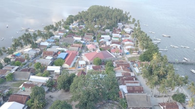 An aerial view of a small coastal village with numerous houses, some with red and blue roofs, surrounded by lush green trees and coconut palms. The settlement is bordered by a body of water, with a few small boats visible near the shore. The village appears to be located on a narrow strip of land extending into the sea.