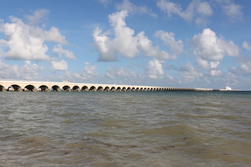 un cuerpo de agua con un puente en la distancia