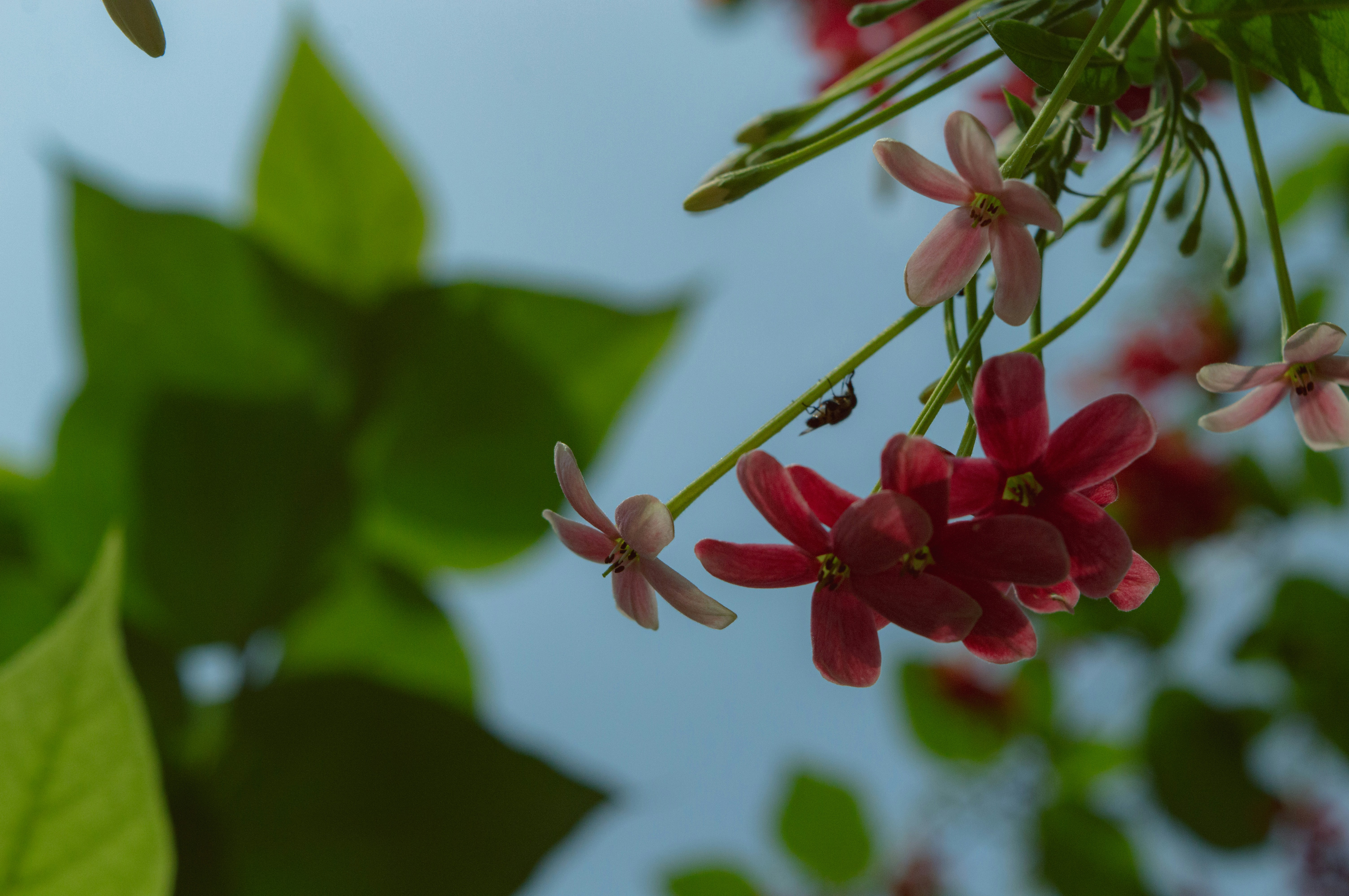 Photo by the_memory_makerz