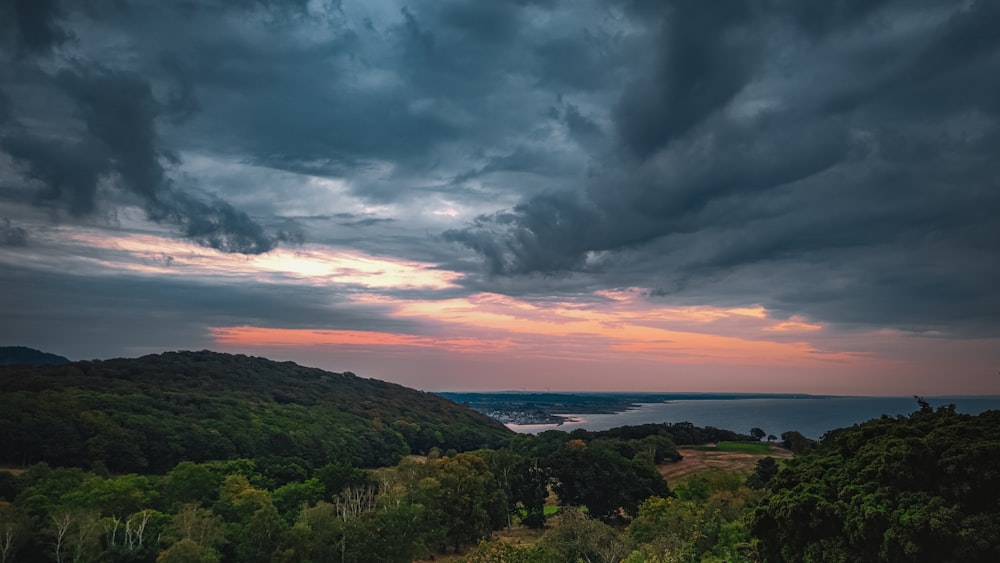 a landscape with trees and a body of water in the background