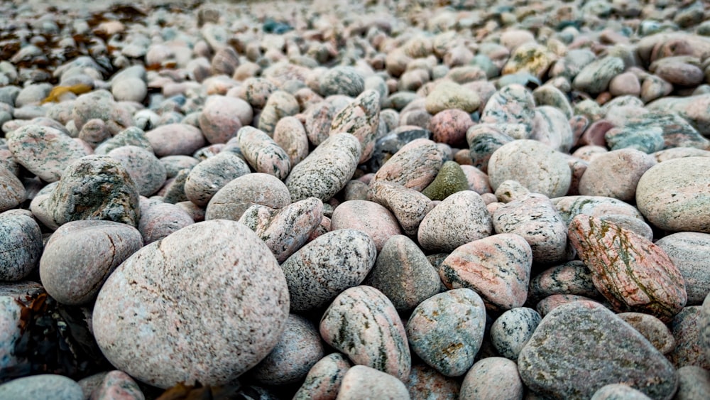 a group of rocks