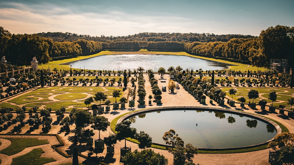 a pond surrounded by trees