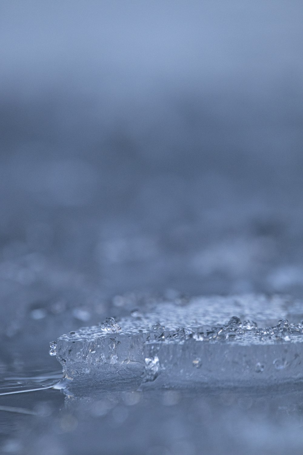 water droplets on a surface