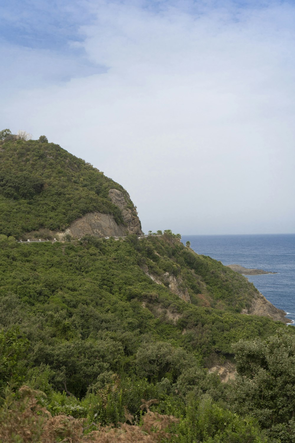 a hill with trees and a body of water in the background with Bolberry Down in the background