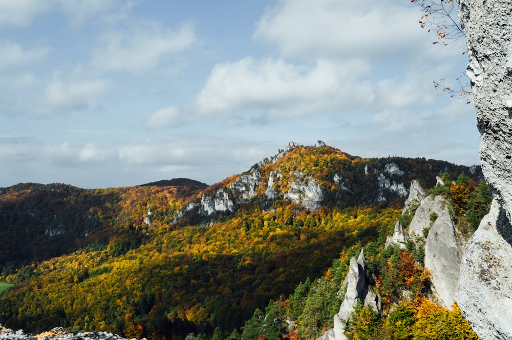 a rocky mountain with trees and a cloudy sky