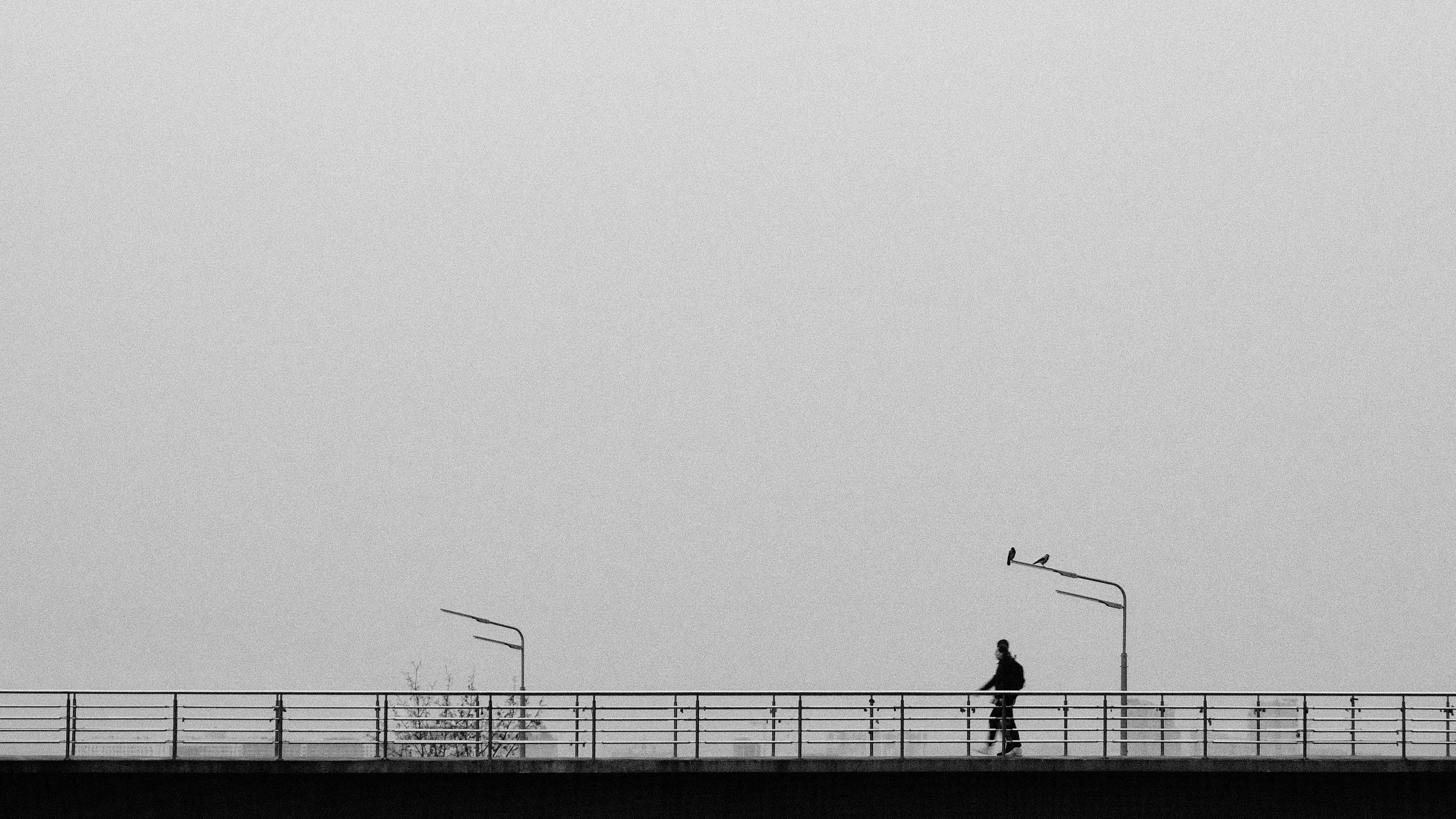 Photo by korobeynikov