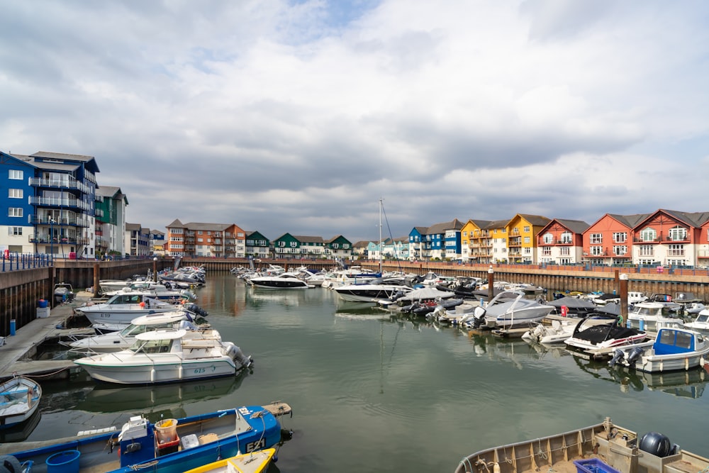 boats parked in a harbor