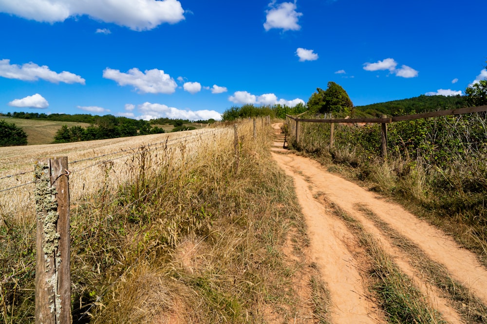 a dirt road with a fence and plants on the side