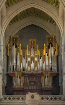 A grand pipe organ is set within a gothic-style cathedral, featuring intricate golden and metallic pipes arranged symmetrically within arched stonework. The organ is framed by geometric patterns on the ceiling, adding a decorative element.