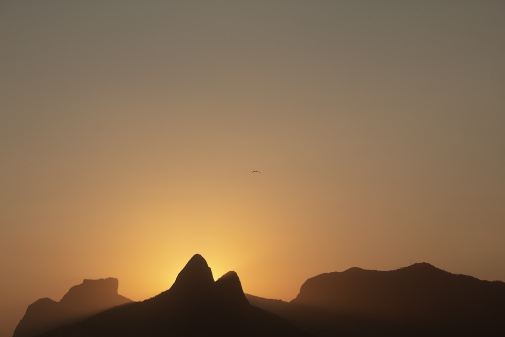 a bird flying over a mountain