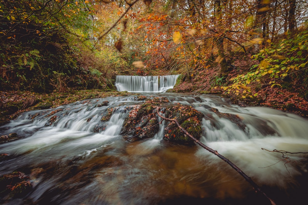 a small waterfall in a forest