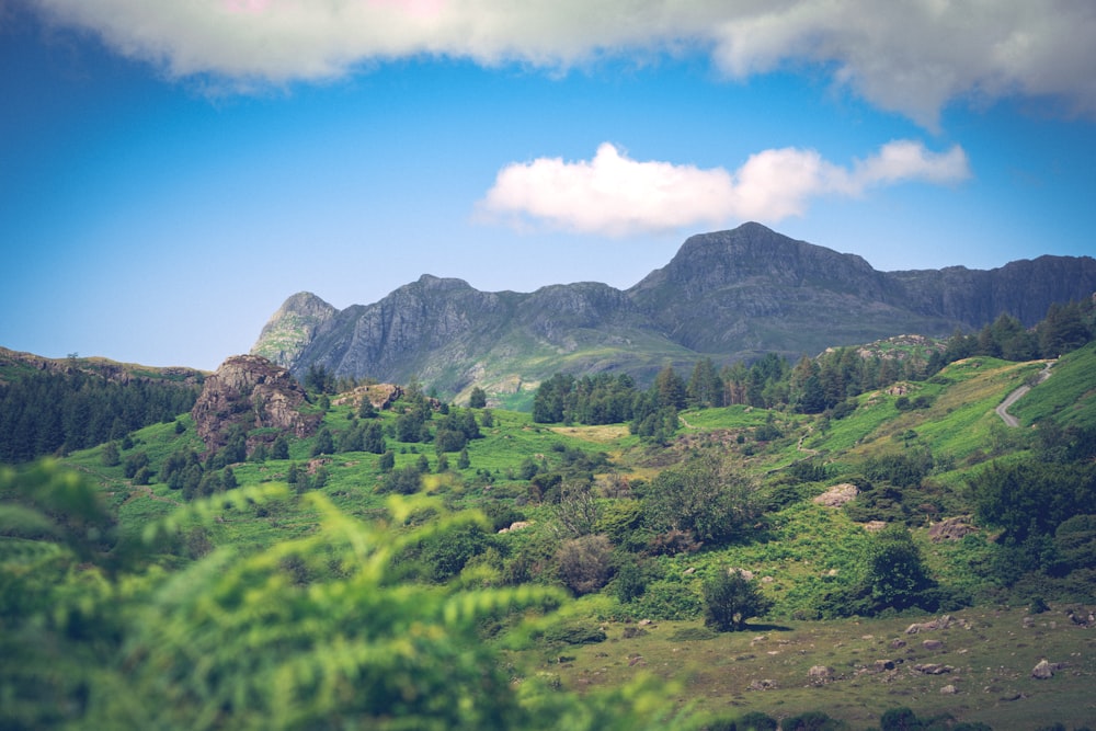 a landscape with hills and trees