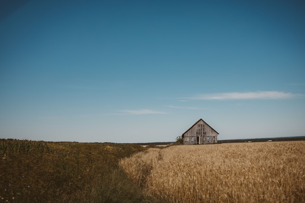 a building in a field