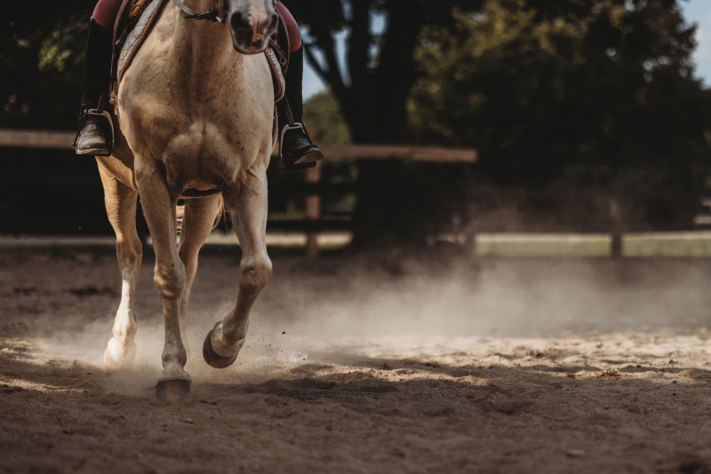 Horse running on a dirt track