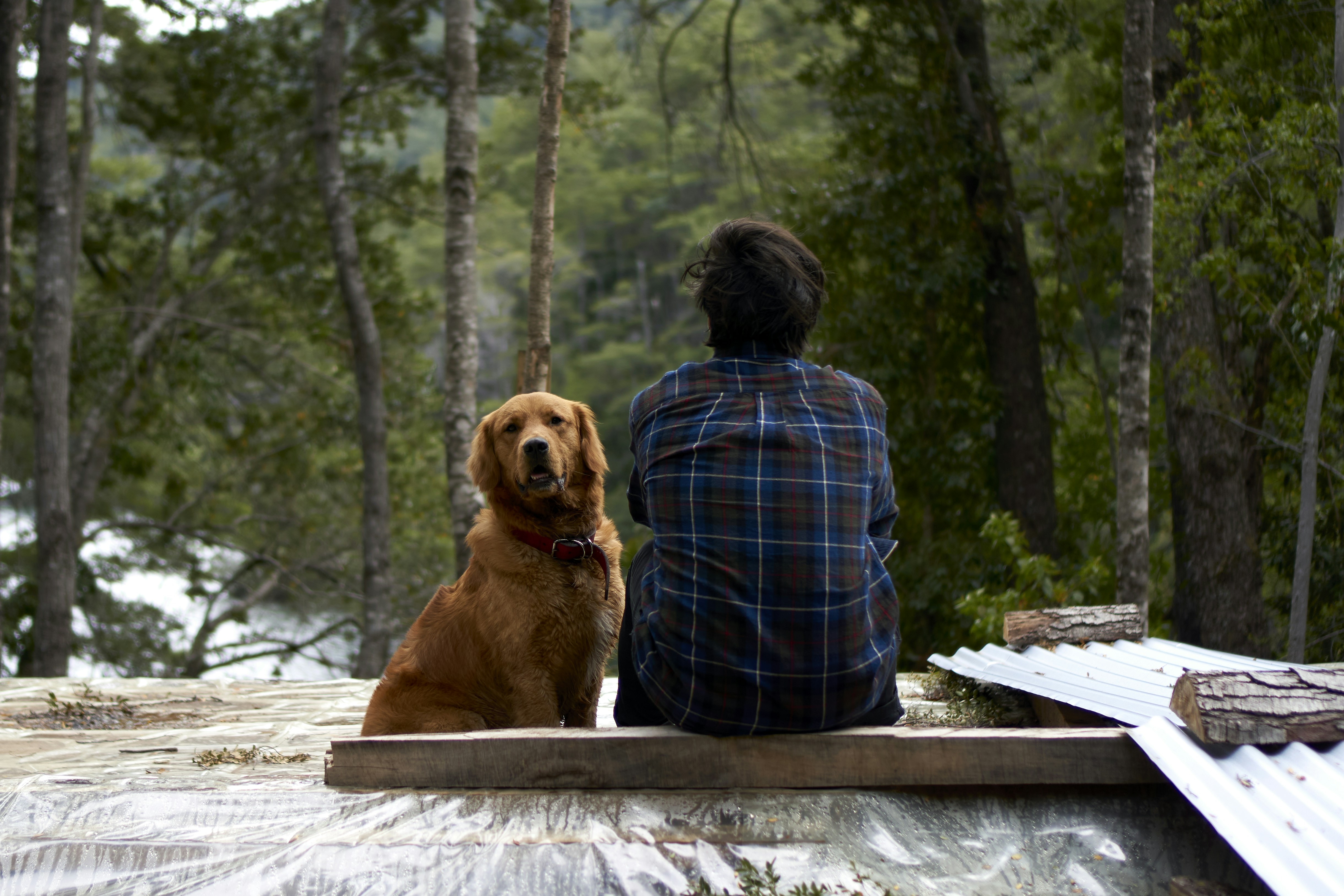 Photo by amenabarladrondeguevara