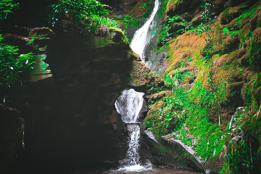 a waterfall in a forest