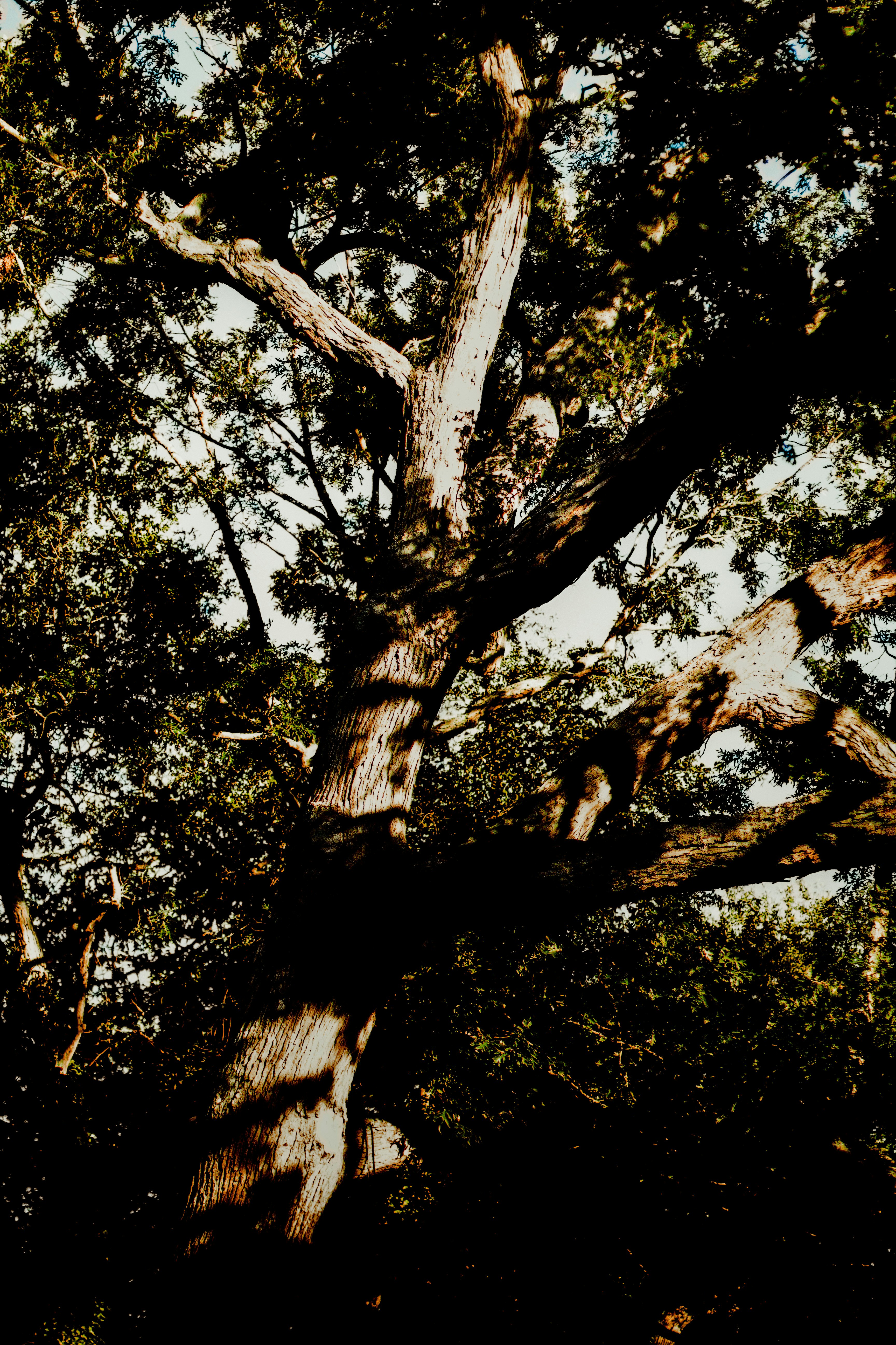 Photo by emmanuelphaeton