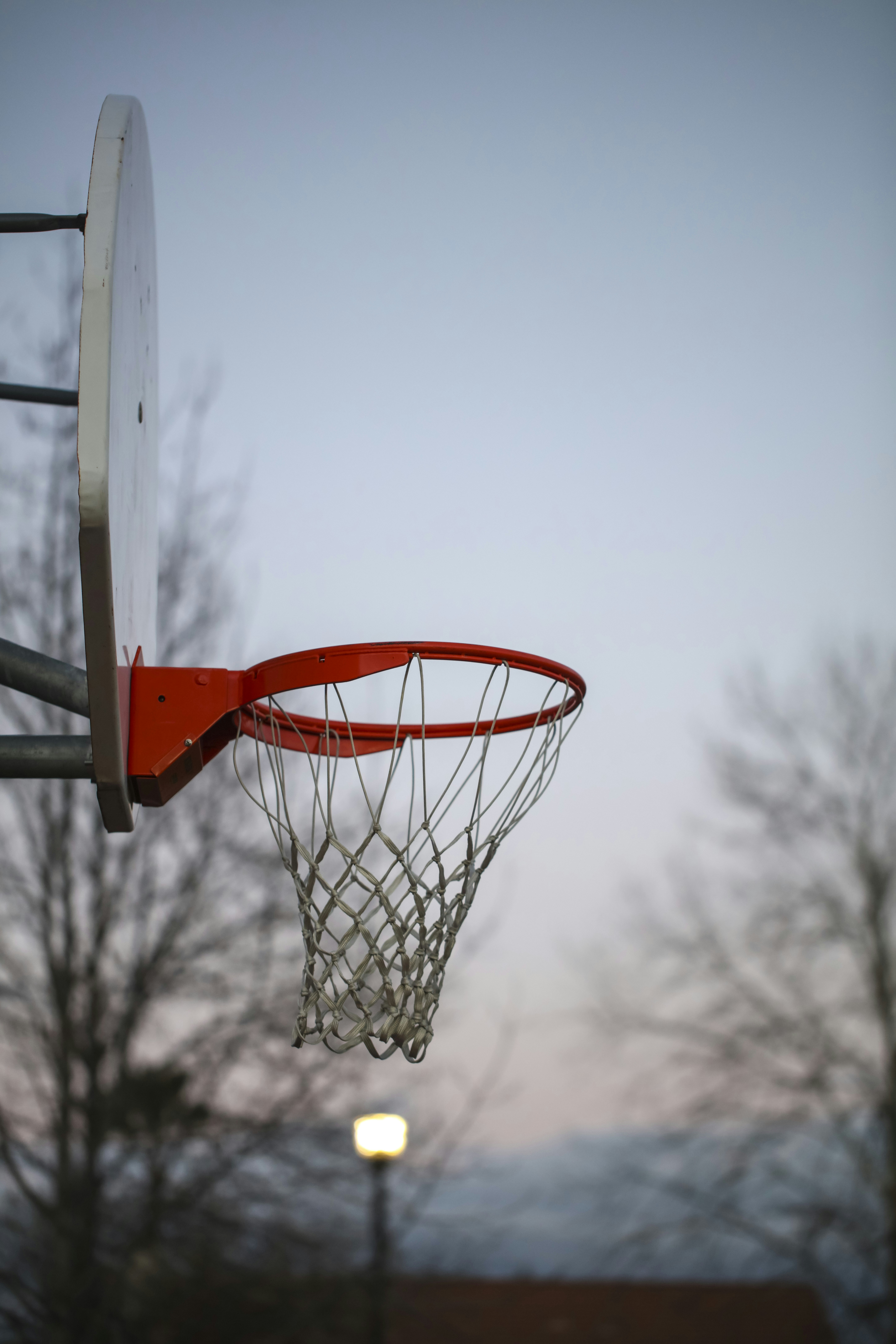 Photo by leo_visions_