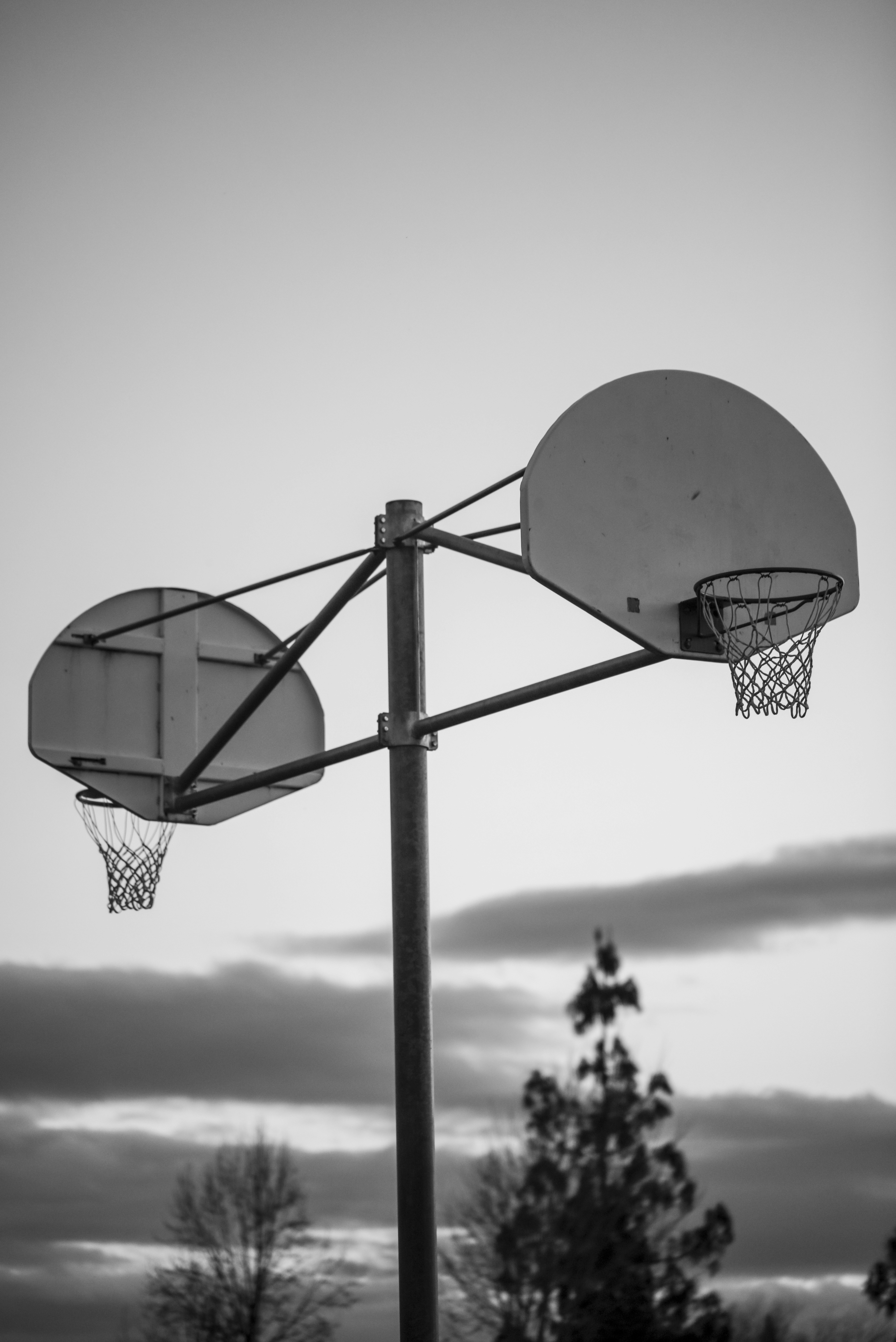 Photo by leo_visions_