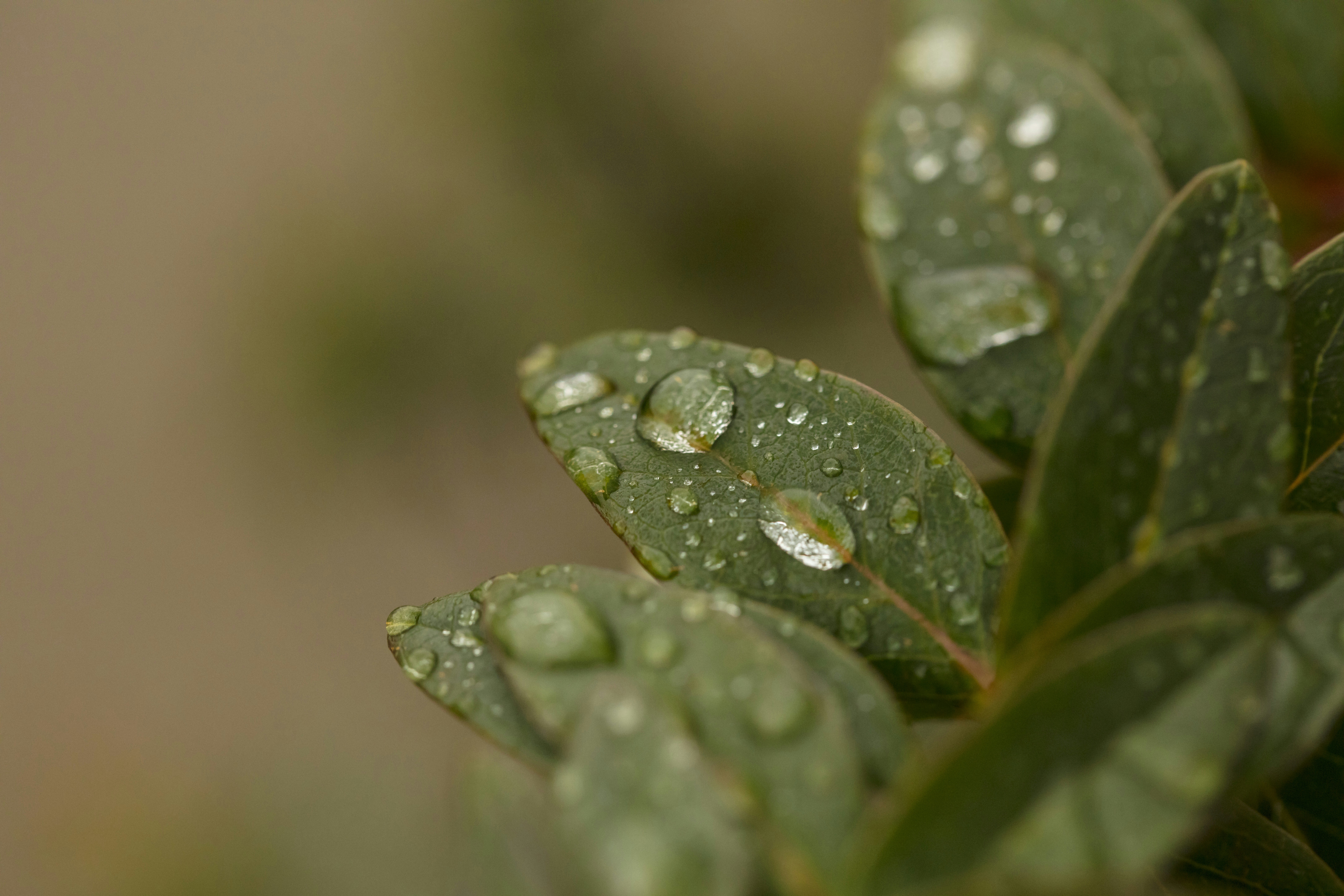 Photo by leo_visions_