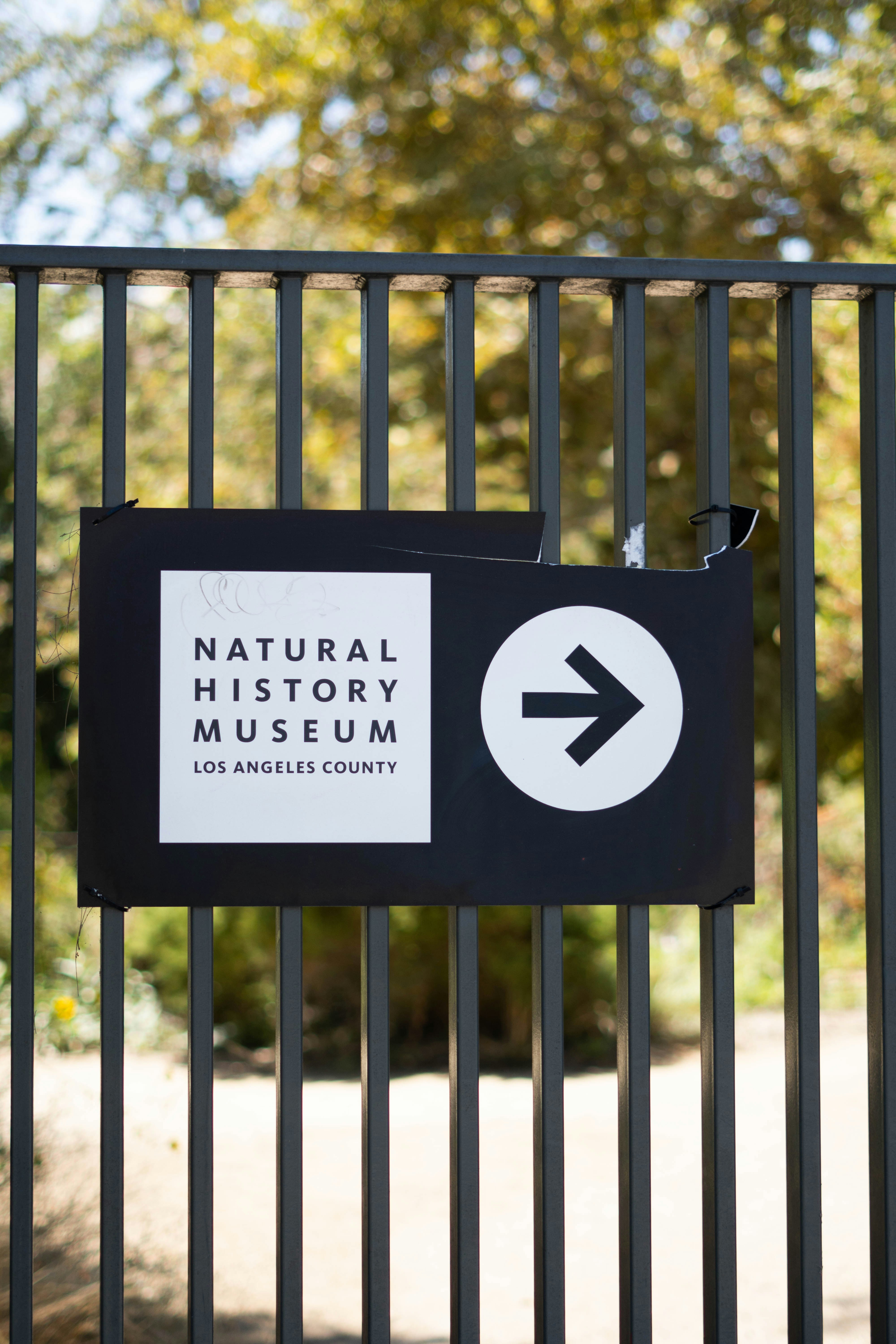 8 Best Materials for Custom Outdoor Metal Signs