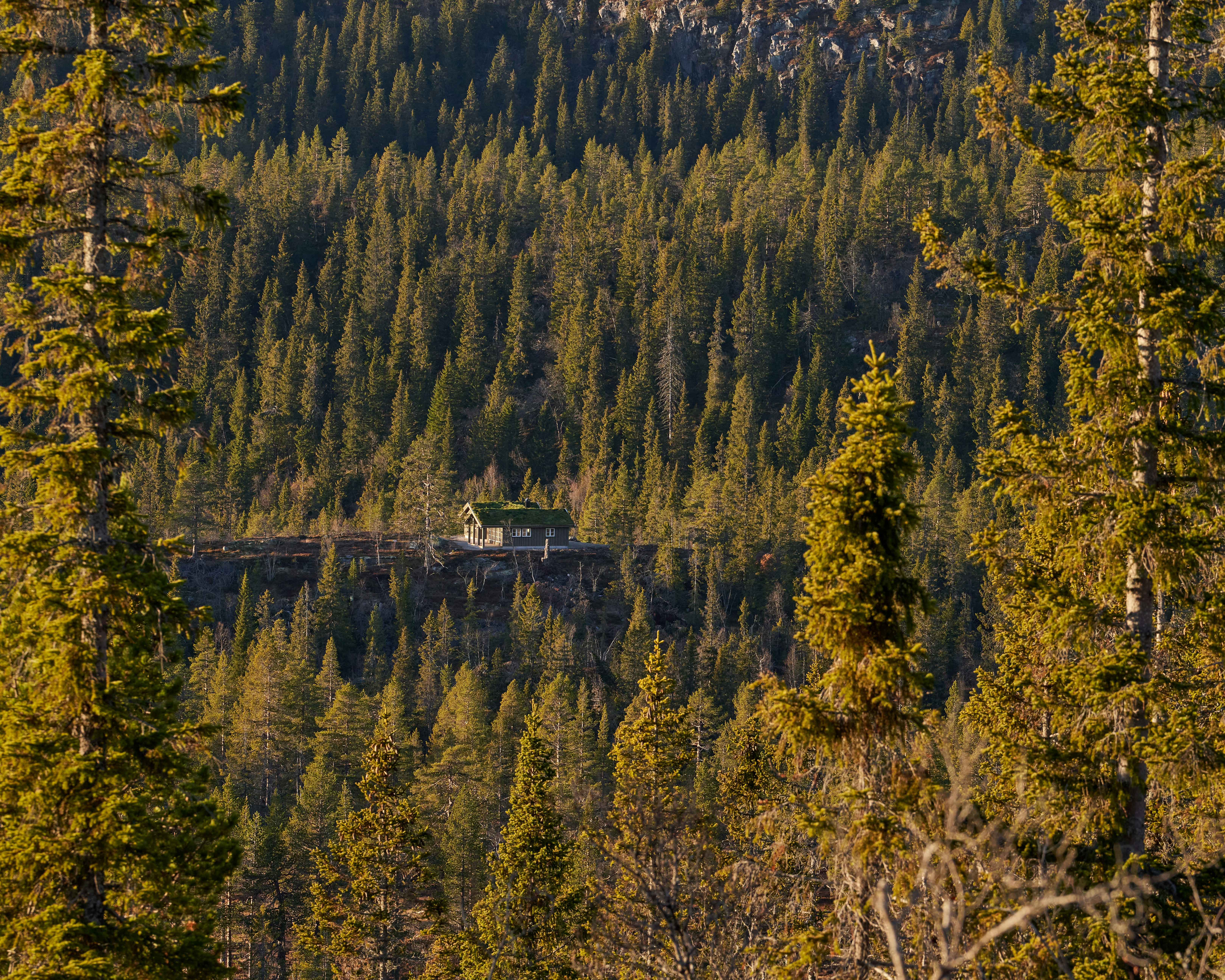 Photo by davotibarna