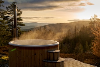 a wooden deck overlooking a forest
