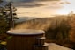 a wooden deck overlooking a forest