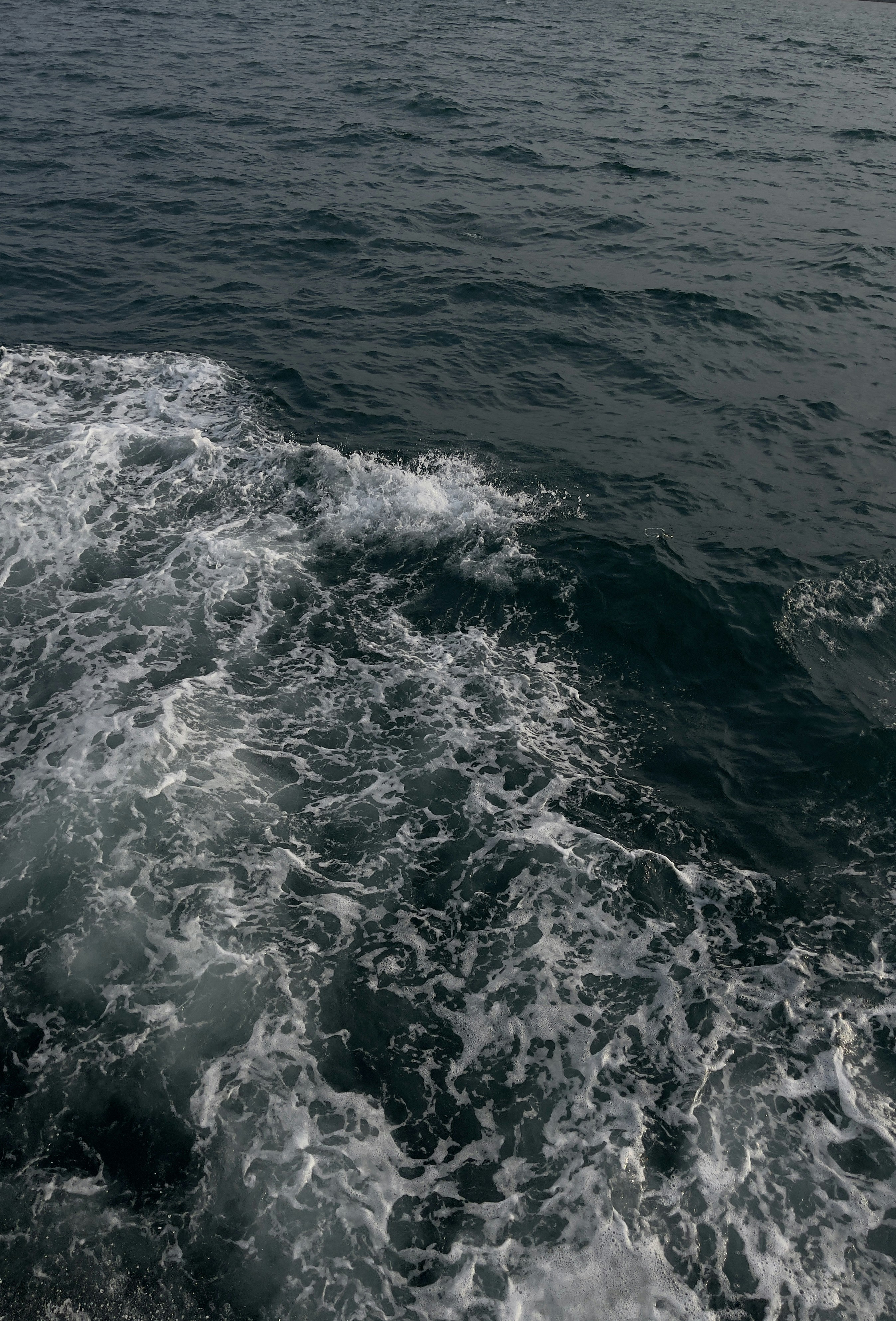 Photo by elizabeth_smirnova