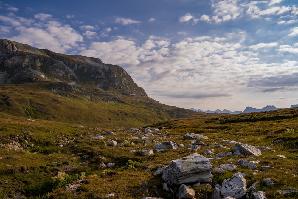 a rocky river bed in a valley