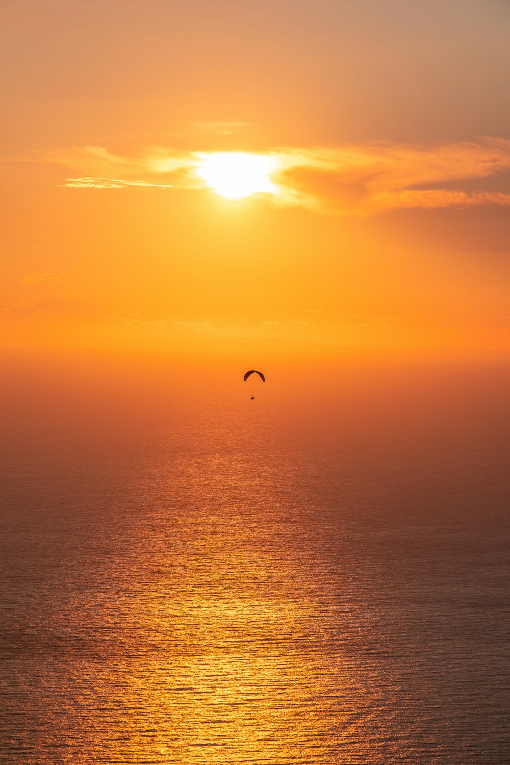 a bird flying over water