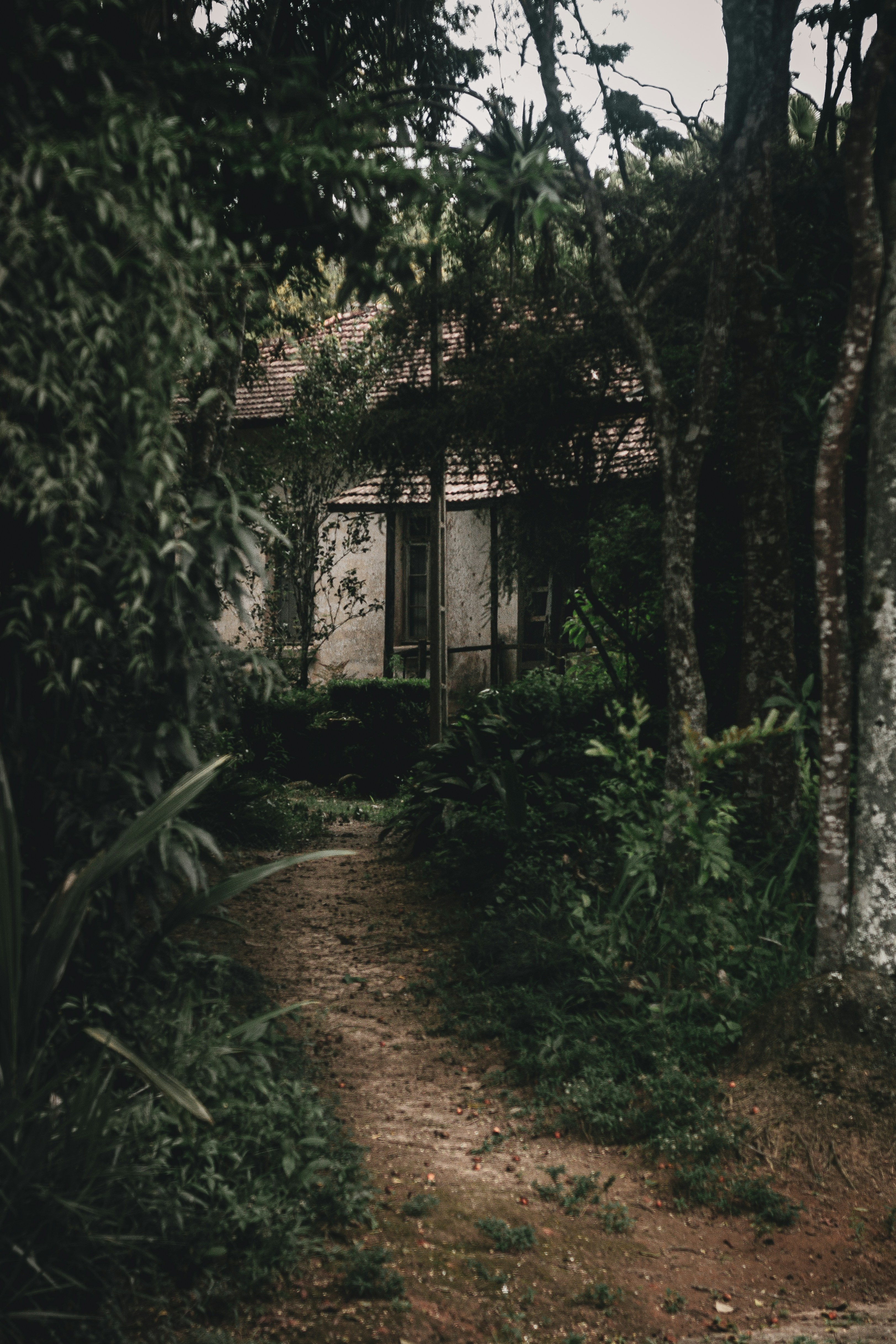a dirt path leading to a house